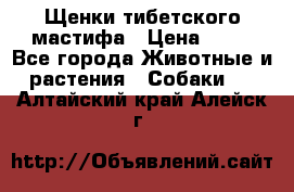 Щенки тибетского мастифа › Цена ­ 80 - Все города Животные и растения » Собаки   . Алтайский край,Алейск г.